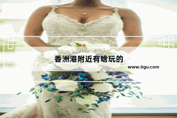 香洲港附近有啥玩的
