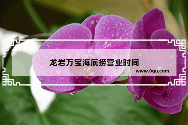 龙岩万宝海底捞营业时间
