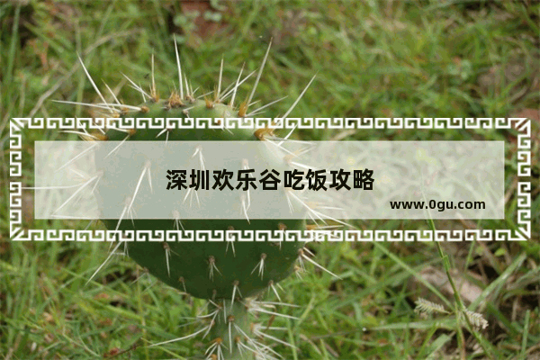 深圳欢乐谷吃饭攻略