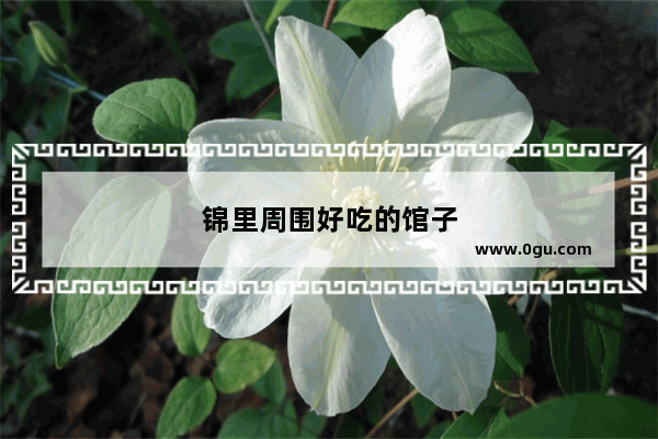 锦里周围好吃的馆子