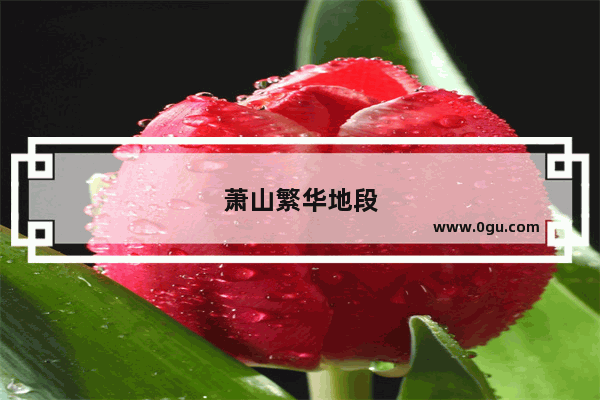 萧山繁华地段
