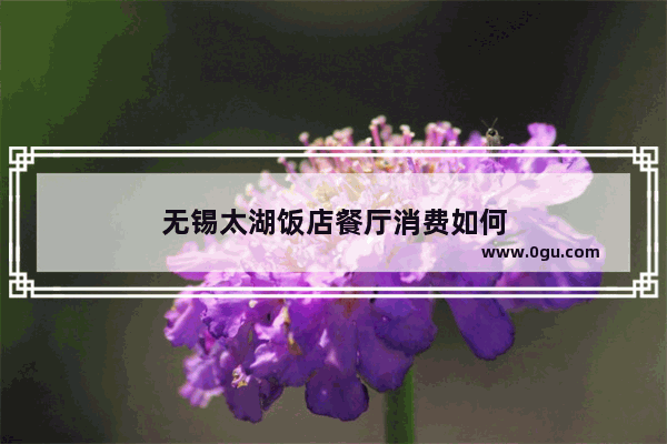 无锡太湖饭店餐厅消费如何