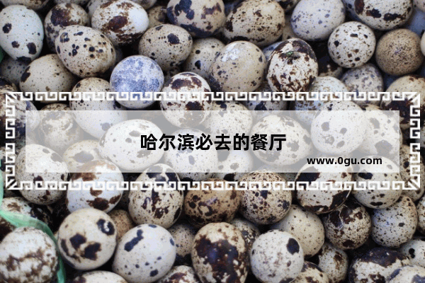 哈尔滨必去的餐厅