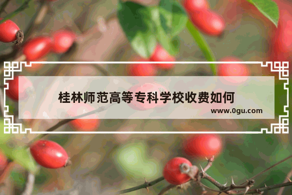 桂林师范高等专科学校收费如何