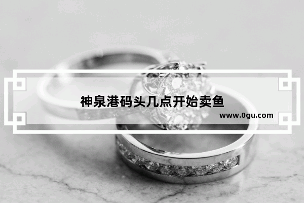 神泉港码头几点开始卖鱼