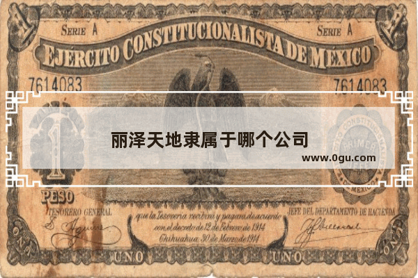 丽泽天地隶属于哪个公司