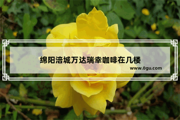绵阳涪城万达瑞幸咖啡在几楼