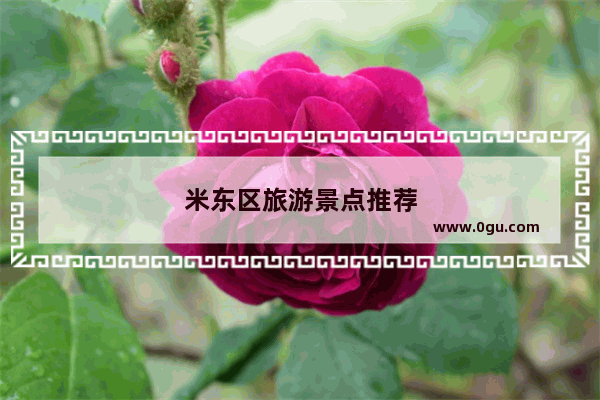米东区旅游景点推荐