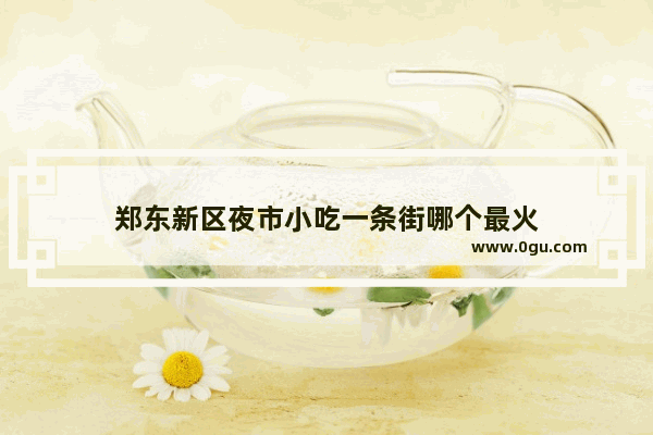 郑东新区夜市小吃一条街哪个最火