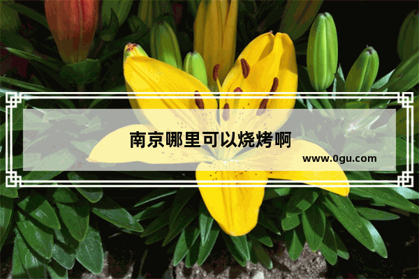 南京哪里可以烧烤啊