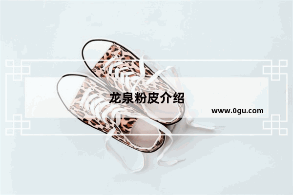 龙泉粉皮介绍