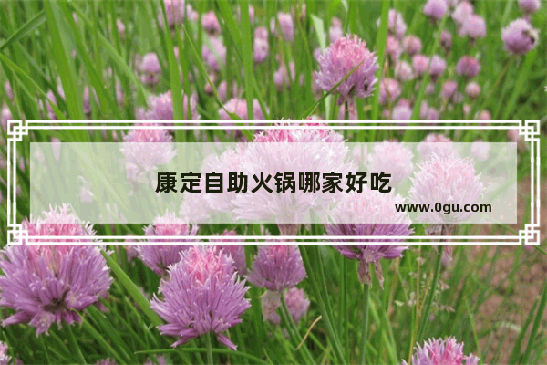 康定自助火锅哪家好吃