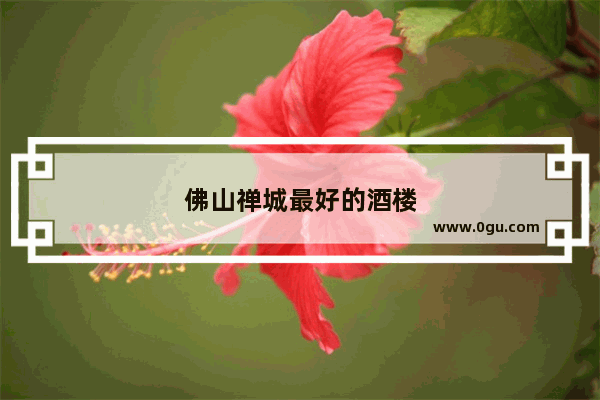 佛山禅城最好的酒楼