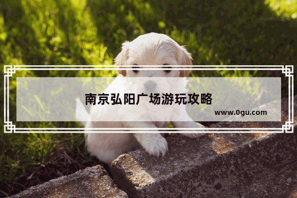 南京弘阳广场游玩攻略