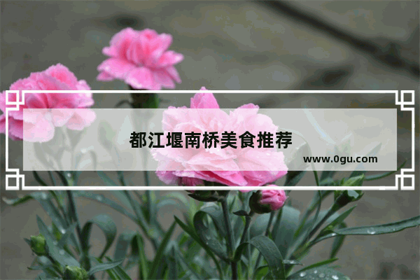 都江堰南桥美食推荐