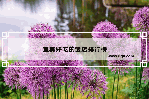 宜宾好吃的饭店排行榜