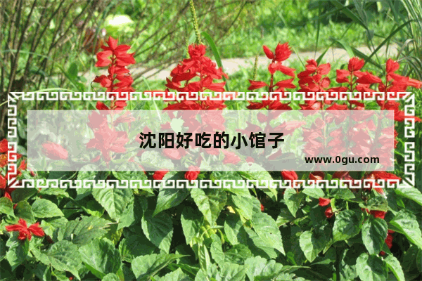 沈阳好吃的小馆子