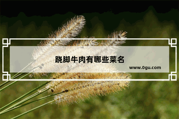 跷脚牛肉有哪些菜名