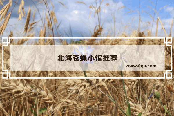 北海苍蝇小馆推荐