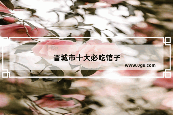 晋城市十大必吃馆子
