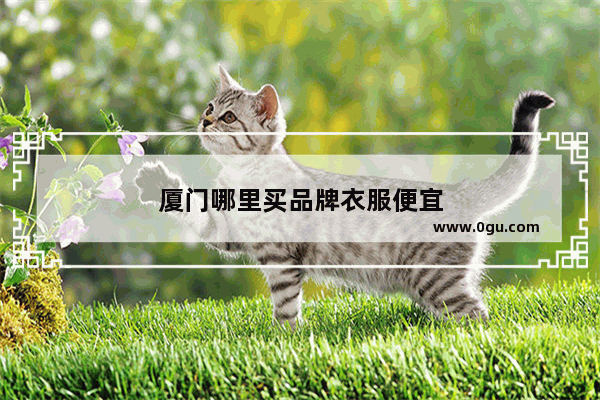 厦门哪里买品牌衣服便宜