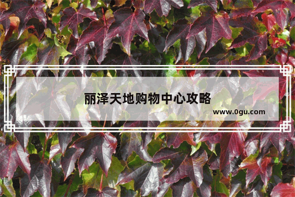 丽泽天地购物中心攻略