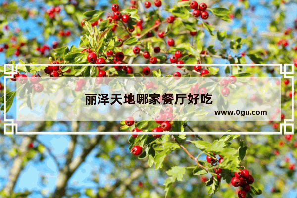 丽泽天地哪家餐厅好吃