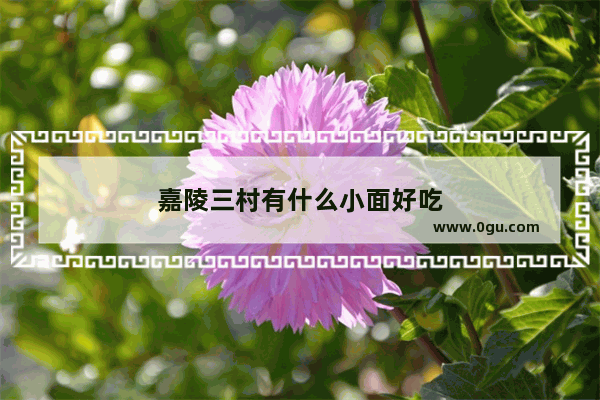 嘉陵三村有什么小面好吃