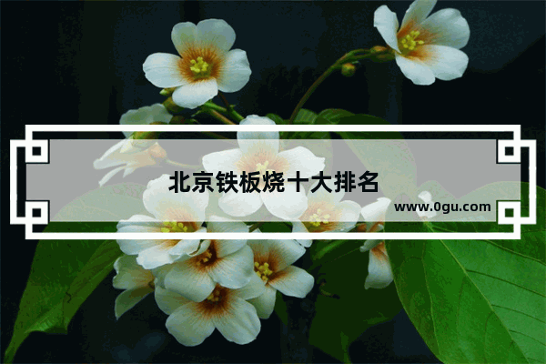 北京铁板烧十大排名