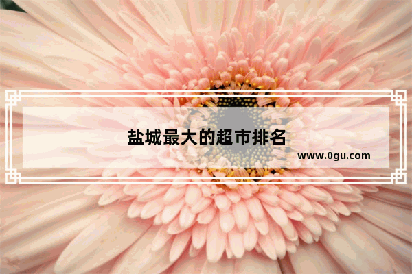 盐城最大的超市排名