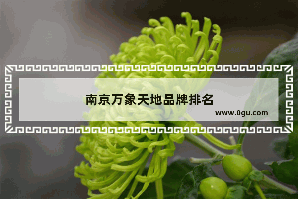 南京万象天地品牌排名