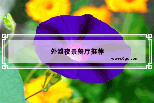 外滩夜景餐厅推荐