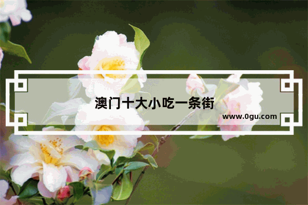 澳门十大小吃一条街