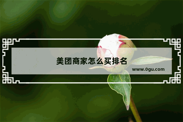 美团商家怎么买排名