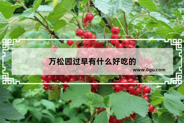 万松园过早有什么好吃的