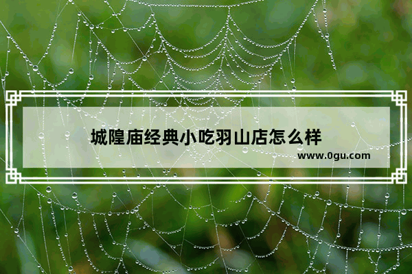 城隍庙经典小吃羽山店怎么样