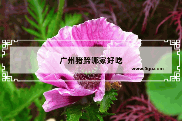 广州猪蹄哪家好吃