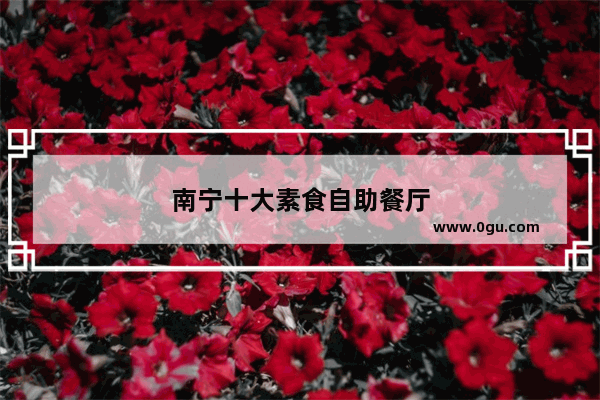南宁十大素食自助餐厅