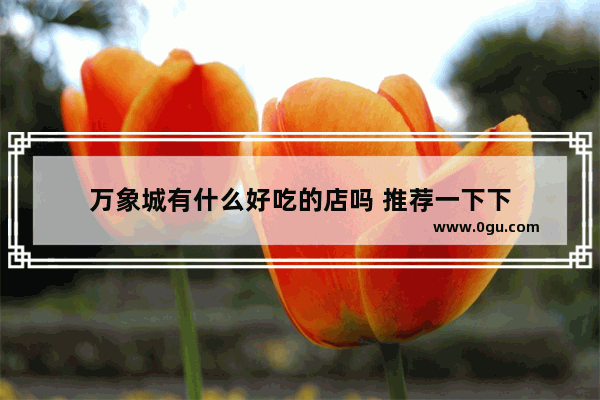 万象城有什么好吃的店吗 推荐一下下