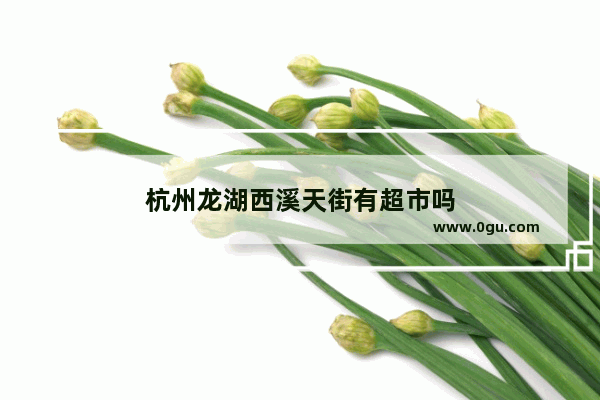 杭州龙湖西溪天街有超市吗