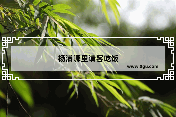 杨浦哪里请客吃饭