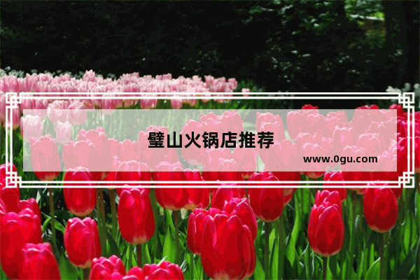 璧山火锅店推荐