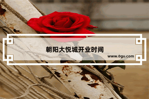 朝阳大悦城开业时间