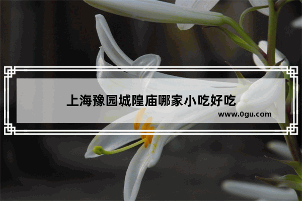 上海豫园城隍庙哪家小吃好吃