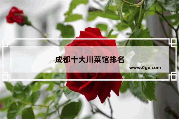 成都十大川菜馆排名
