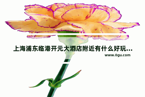 上海浦东临港开元大酒店附近有什么好玩的地方吗