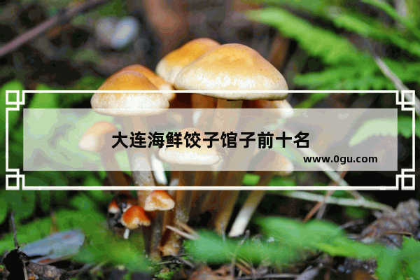大连海鲜饺子馆子前十名