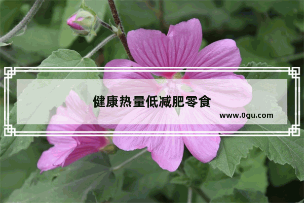 健康热量低减肥零食