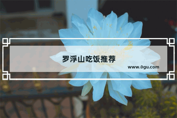 罗浮山吃饭推荐