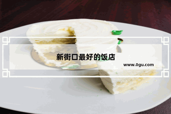 新街口最好的饭店